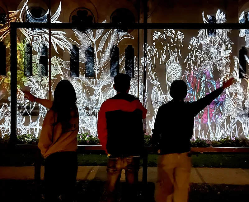 Herbier interactif, Cathédrale d'Amiens
