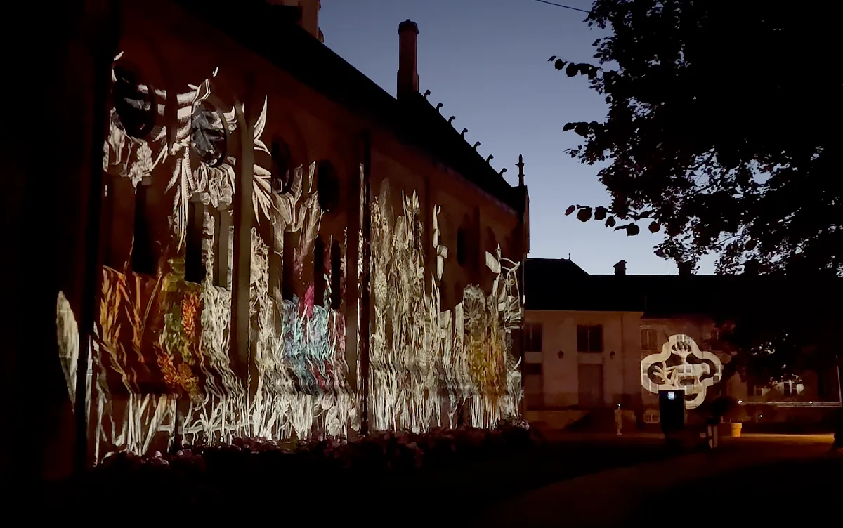 Herbier interactif