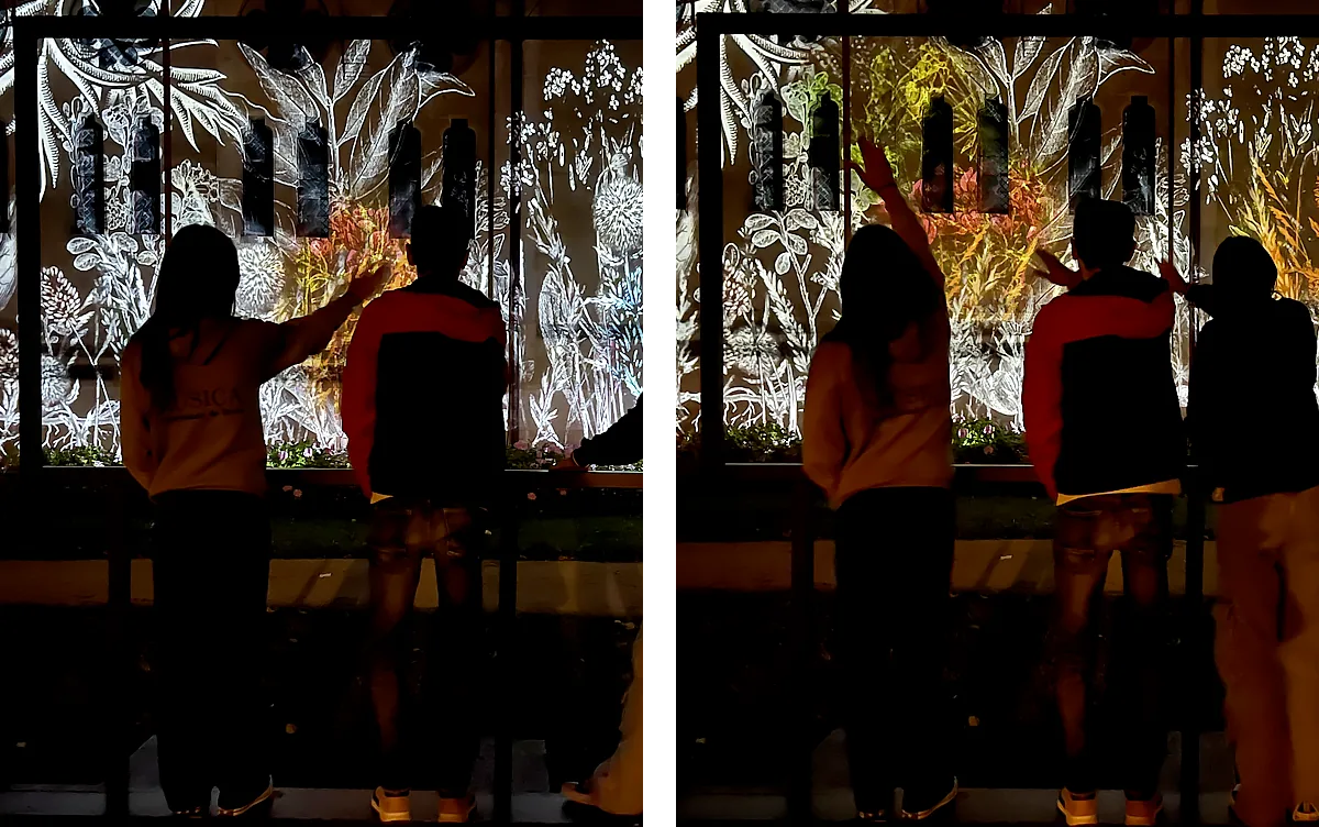 Herbier interactif, photo 3