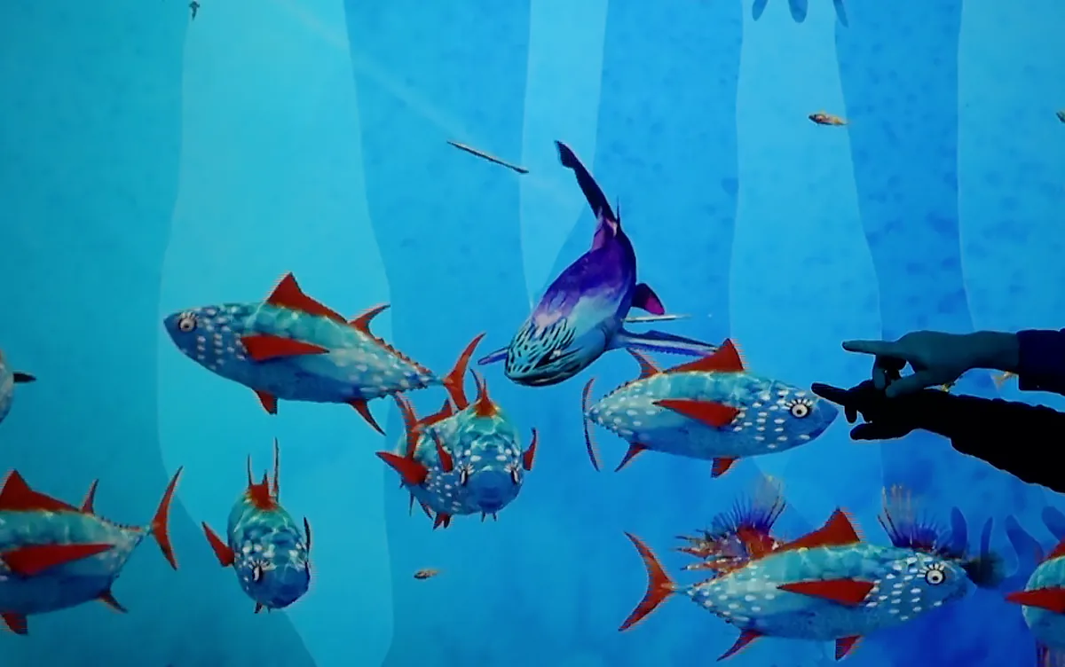 Aquarium interactif, photo 4
