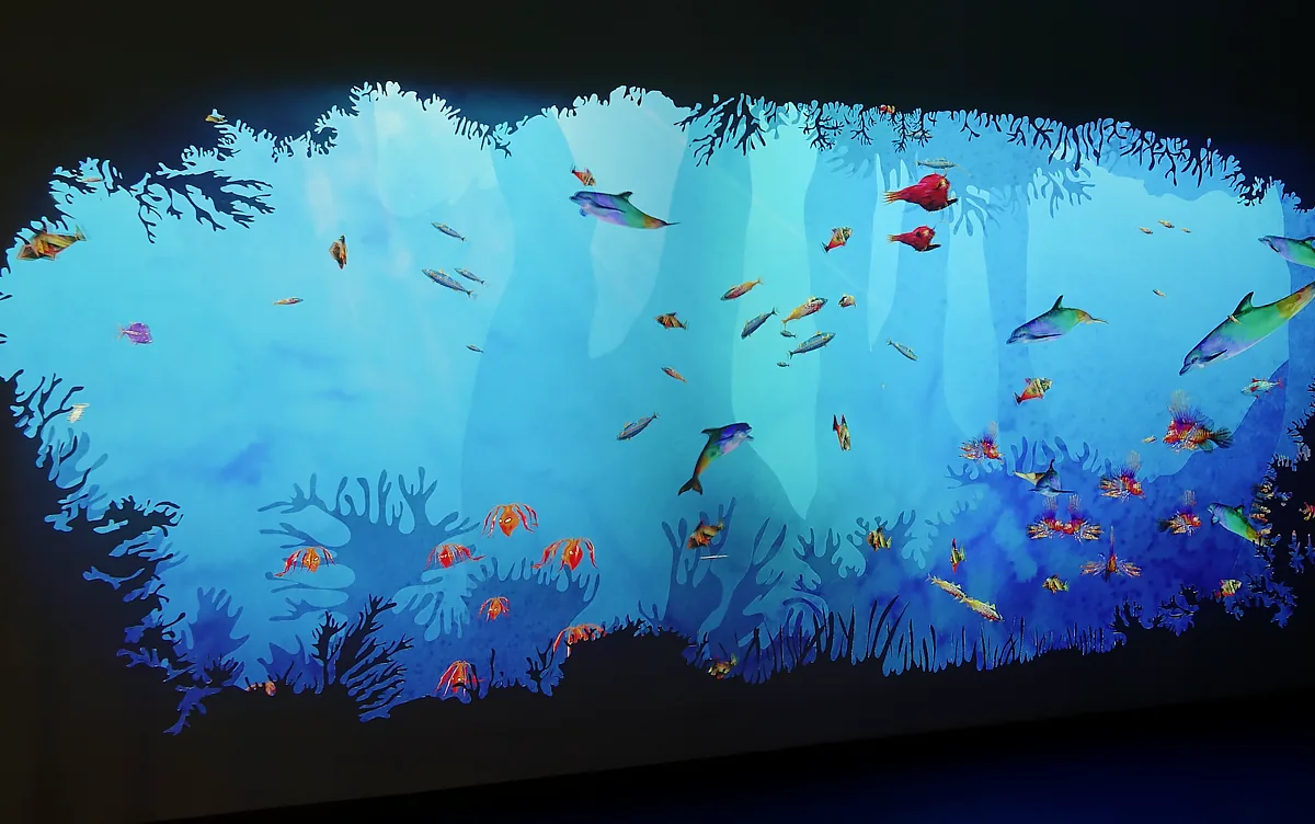Aquarium interactif, photo 7