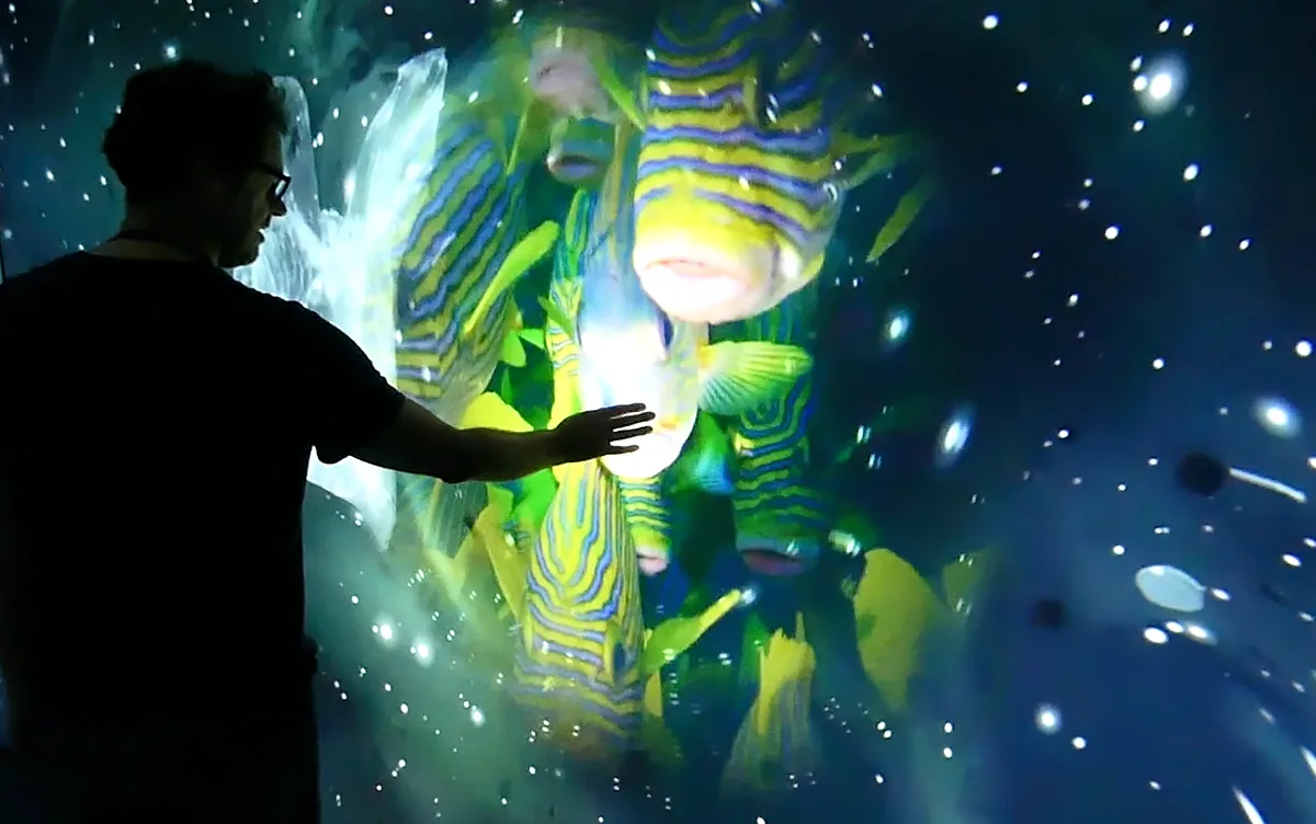 Interactive immersive tunnel, photo 2