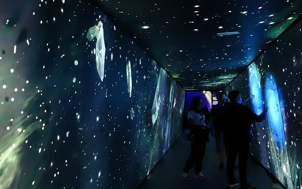 Interactive immersive tunnel, photo 5