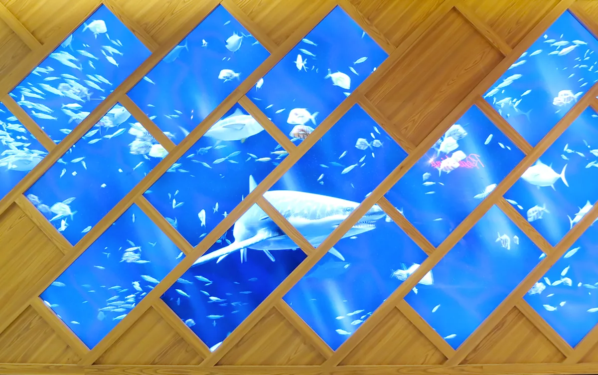 Aquarium géant, photo 1