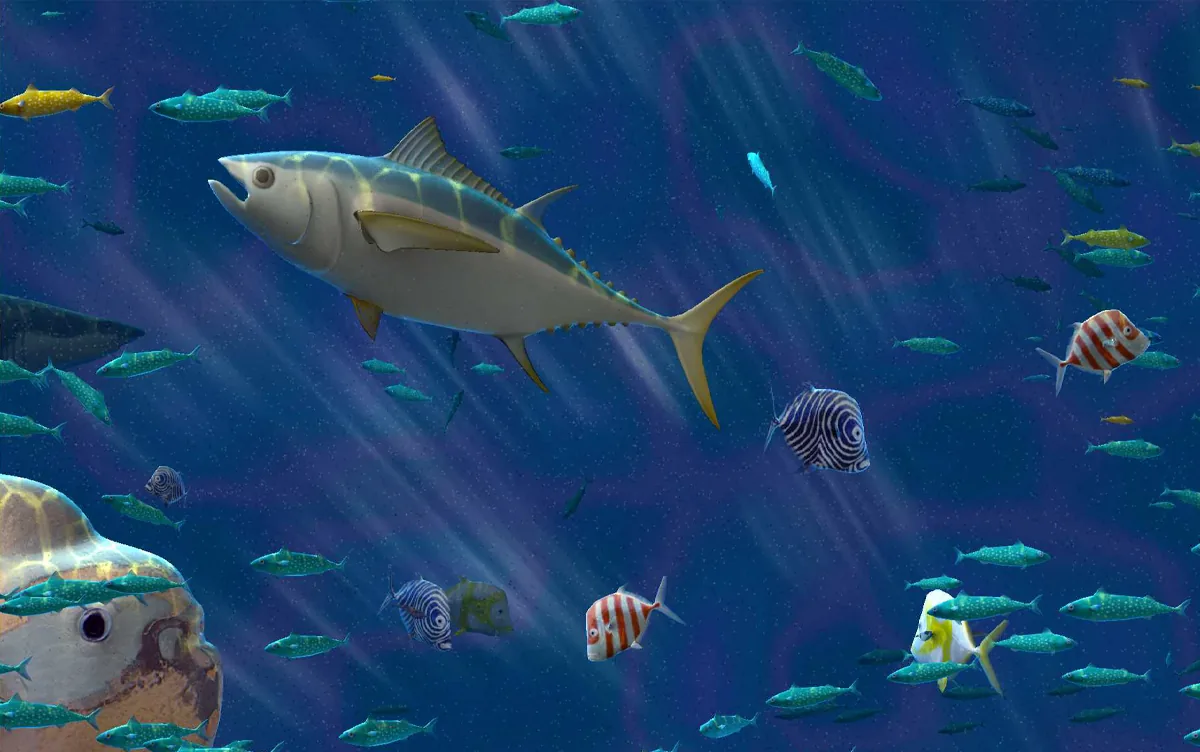 Aquarium géant, photo 2