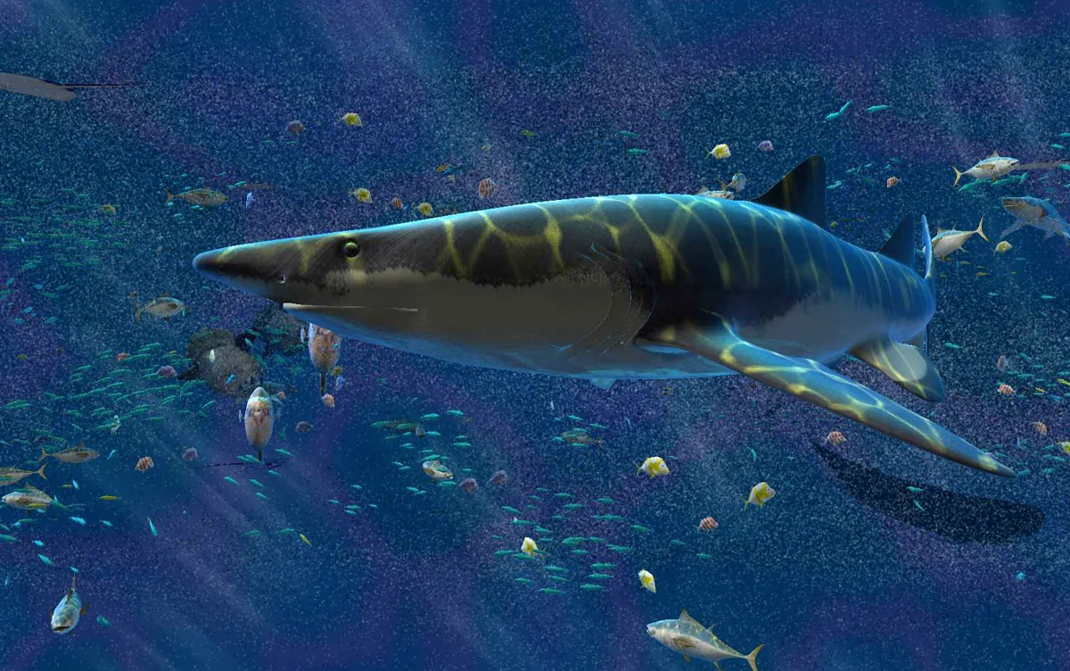 Aquarium géant, photo 3