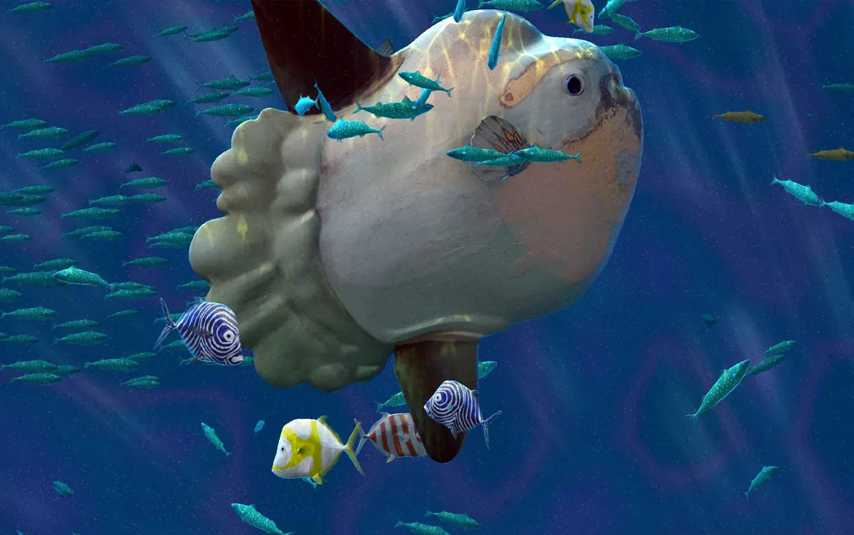 Aquarium géant, photo 6
