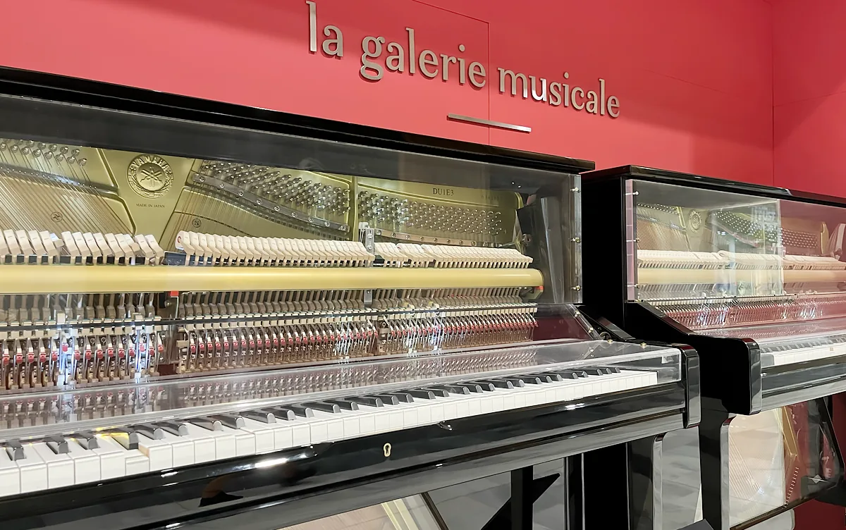 Pianos lumineux, photo 1
