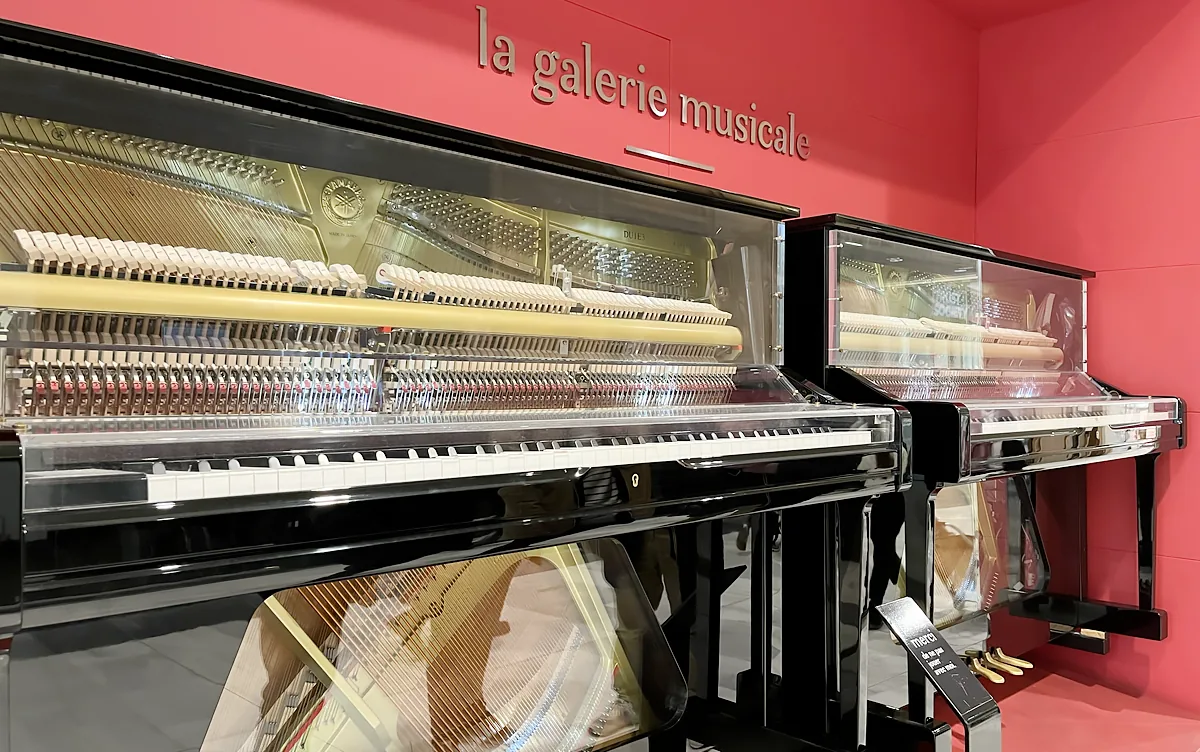 Pianos lumineux, photo 3
